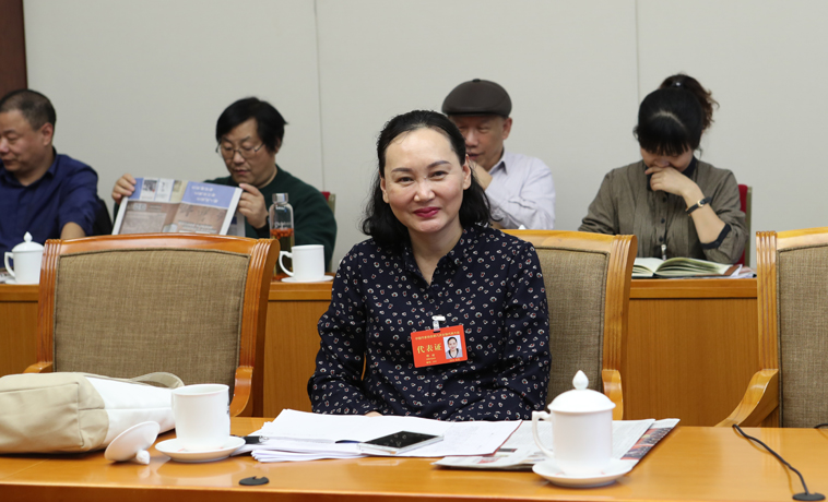 12月1日，邵麗主持河南、湖北團分組學習討論。