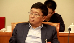 阿來(lái)代表參加審議政府工作報(bào)告分組會(huì)