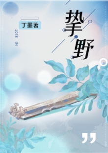 丁墨《摯野》 發表網站：云起書院 《摯野》將音樂筑夢與愛情圓夢巧妙地結合起來，表現當代青年在喧囂生活中對愛情的執著與堅守。作品在浪漫的人生況味中隱含了積極的思想意義，情節設置出人意料又合情合理，敘事嫻熟，以獨特的浪漫意味在都市愛情寫作中自成一格。	
