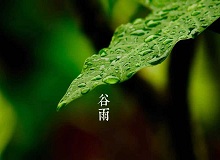 《谷雨》過了清明，就是谷雨。村莊里，田野里，村路上，草木間，人家的院落里，人們的臉上，到處都是春天的閑意思了。[詳細(xì)]