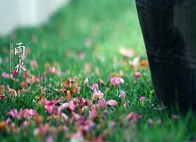 《雨水》轉(zhuǎn)眼就過了正月十五。芳村這地方，過了十五，才算是過了年。老輩子的風(fēng)俗，十五看燈，十六游百病。[詳細(xì)]
