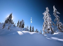 《大寒》這個(gè)時(shí)節(jié)，天短，日頭地兒就顯得格外金貴。一進(jìn)臘月，過事兒的多了起來。[詳細(xì)]