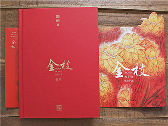 《金枝》：“虛置的父權”，使父親的角色無比尷尬
