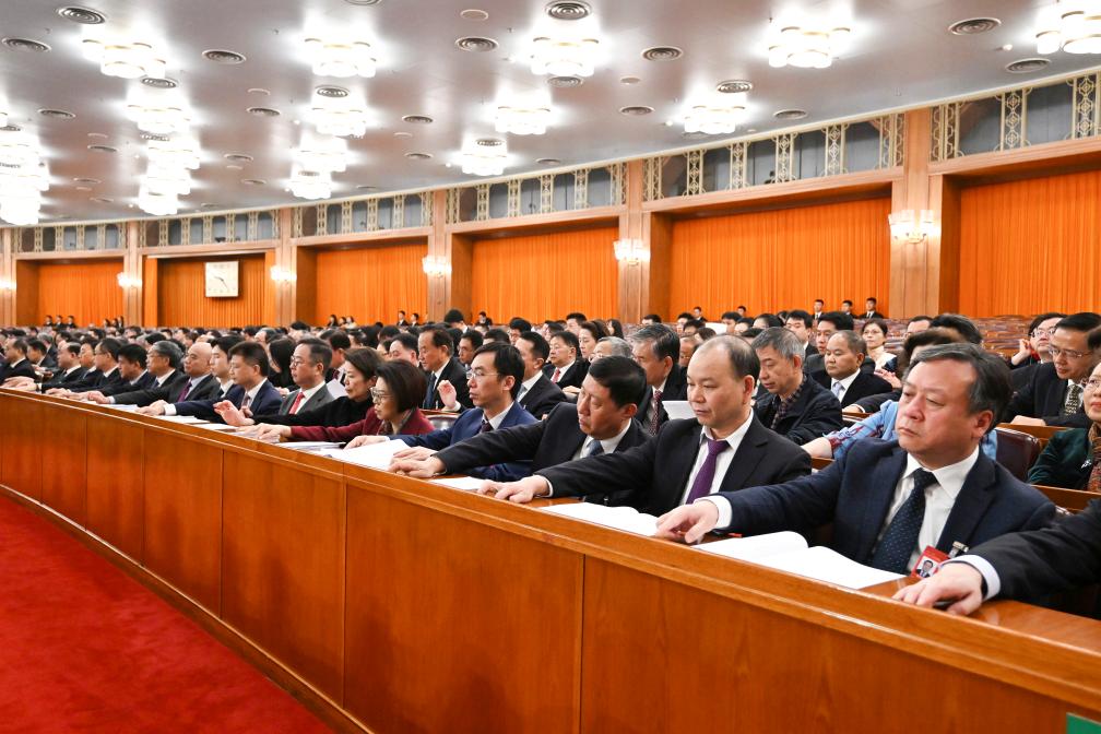 3月10日，中國人民政治協(xié)商會(huì)議第十四屆全國委員會(huì)第二次會(huì)議在北京人民大會(huì)堂舉行閉幕會(huì)。新華社記者 謝環(huán)馳 攝