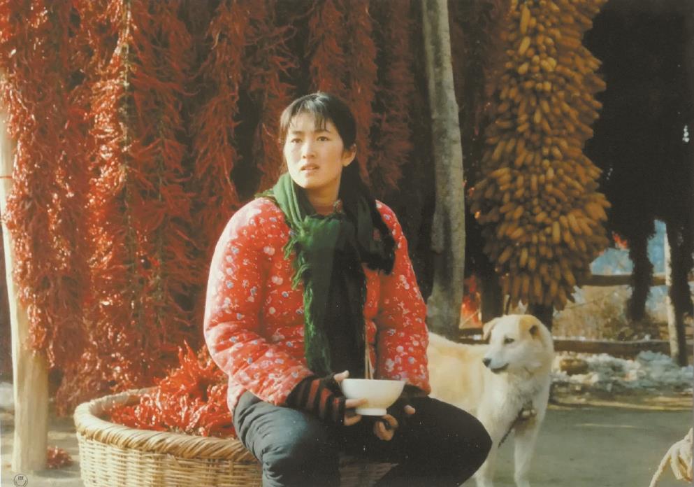 劉恒擔(dān)任編劇的電影《秋菊打官司》曾獲得第49屆威尼斯電影節(jié)金獅獎、第13屆中國電影金雞獎最佳故事片獎等獎項。