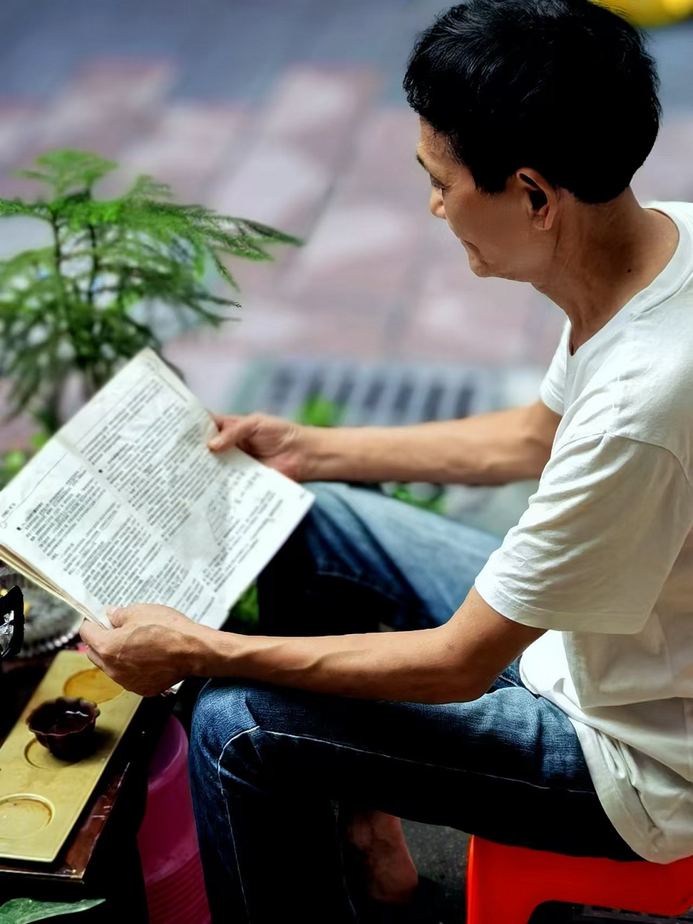 自從注冊作家網，在文友們的影響下，也開始為自己充電了。早上五點半起床，邊喝茶邊看書，最少堅持一個半小時，已經成為鐵打不動的規律