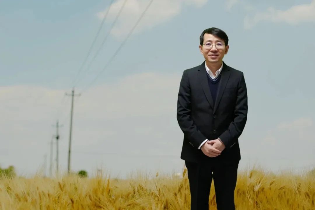 羅長青，男，1981年生，湖南衡陽人；博士畢業于南京大學，曾在復旦大學中國語言文學博士后流動站從事博士后研究，曾任貴州師范大學文學院教授，博士研究生導師；現為廣東外語外貿大學中國語言文化學院教授；主要從事中國當代文學與文化現象研究。