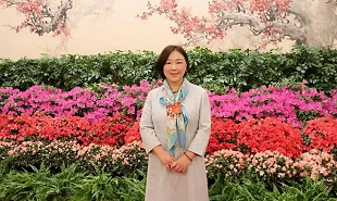 全國政協(xié)委員、網絡文學作家蔣勝男