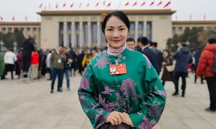 全國政協(xié)委員、山西藝術職業(yè)學院黨委委員、副院長苗潔