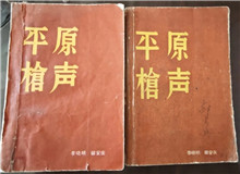 從未遠去的“平原槍聲”　　合上《平原槍聲》最后一頁，初聽現實中肖張鎮這個地名，心頭不禁一震：莫不是小說中的肖家鎮？[詳細]