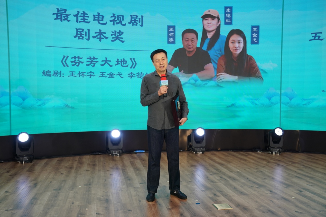 最佳電視劇劇本獲獎者代表王懷宇發表獲獎感言