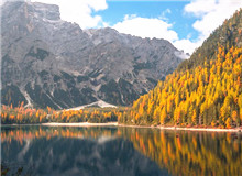 在自然文學和生態文學之間　　在自然文學領域，我耗費了大量時間和心血，但遠遠談不上“中國的《瓦爾登湖》”……[詳細]